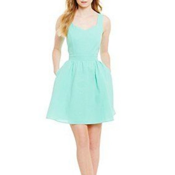 Lauren James Dresses & Skirts - Lauren James | Garrison Tie-Back Flare Dress